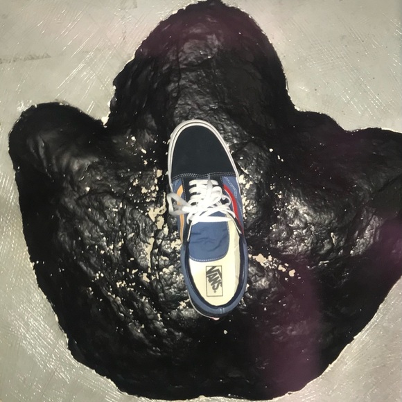 Meet your Posher, Harry - Picture 7 of 12